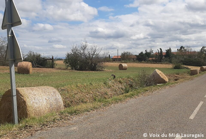 Macrorafales de forte intensité (D3) entre la Haute-Garonne et l'Aude le 29 juillet 2023