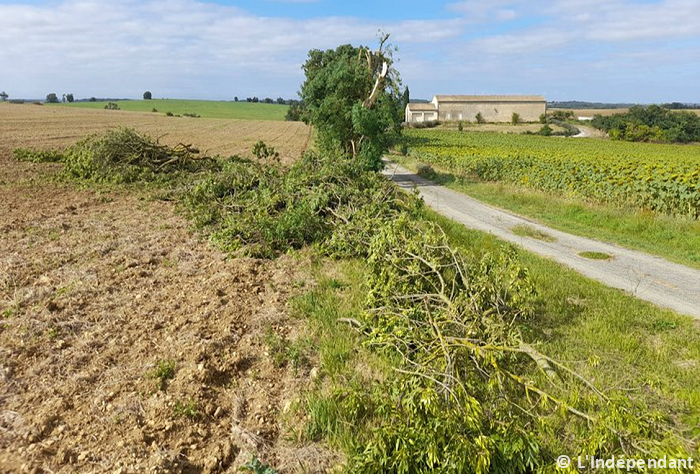 Macrorafales de forte intensité (D3) entre la Haute-Garonne et l'Aude le 29 juillet 2023