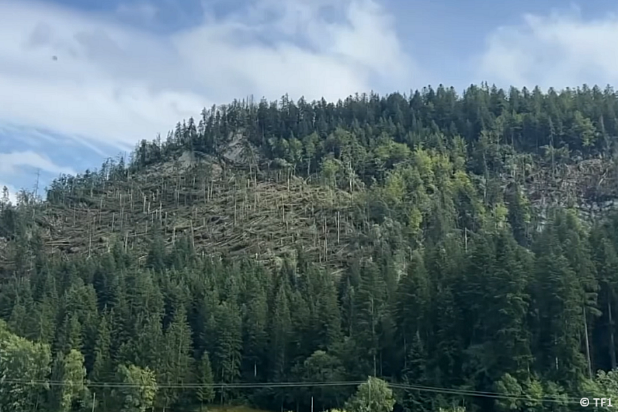 Macrorafales de très forte intensité (D4) entre le Val de Morteau (France) et la Chaux-de-Fonds (Suisse) le 24 juillet 2023