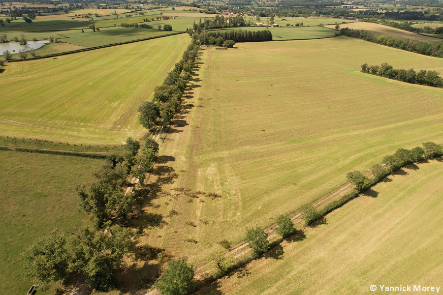 Macrorafales de forte intensité (D3) en Saône-et-Loire le 21 juin 2022