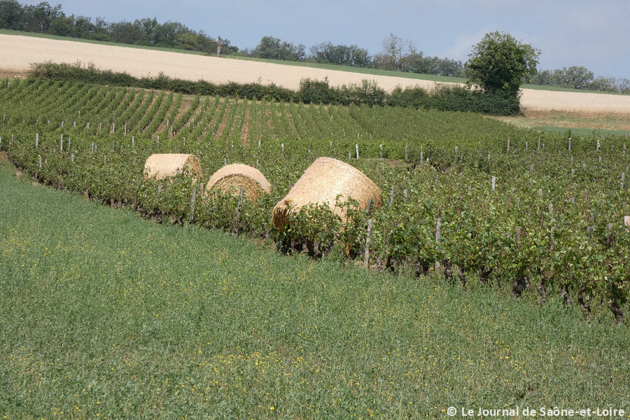 Macrorafales de forte intensité (D3) en Saône-et-Loire le 21 juin 2022