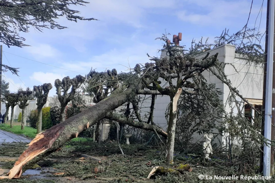 Tornade EF1 à Buzançais (Indre) le 31 mars 2023