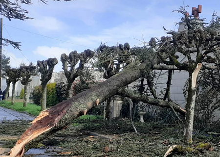 Tornade EF1 à Buzançais (Indre) le 31 mars 2023