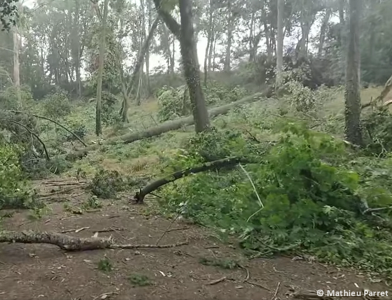 Tornade EF1 à Charbonnières-les-Vieilles (Puy-de-Dôme) le 11 juillet 2023