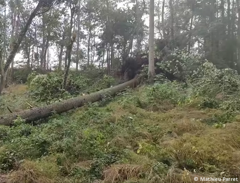 Tornade EF1 à Charbonnières-les-Vieilles (Puy-de-Dôme) le 11 juillet 2023