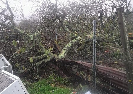 Tornade EF1 à Chevanceaux (Charente-Maritime) le 27 octobre 2023