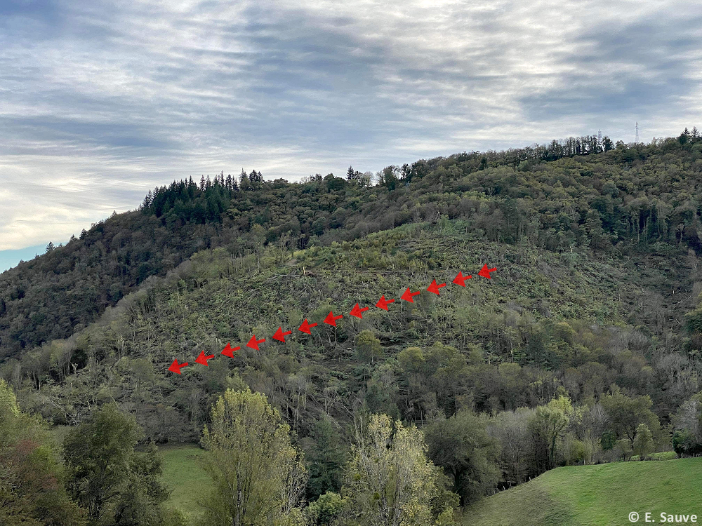 Tornade EF1 à Dampniat (Corrèze) le 27 octobre 2023