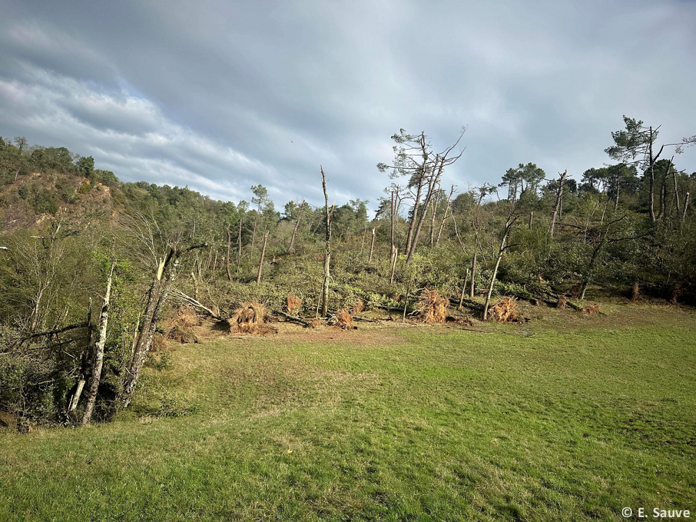 Tornade EF1 à Dampniat (Corrèze) le 27 octobre 2023