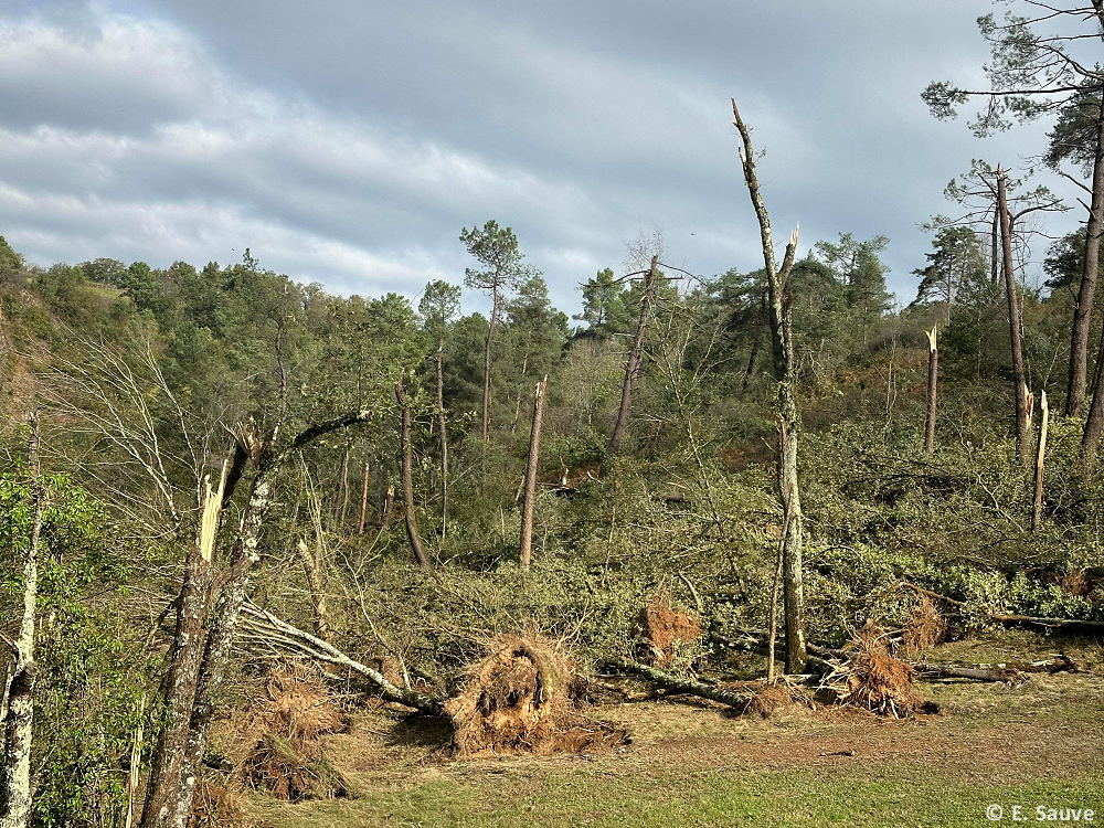 Tornade EF1 à Dampniat (Corrèze) le 27 octobre 2023