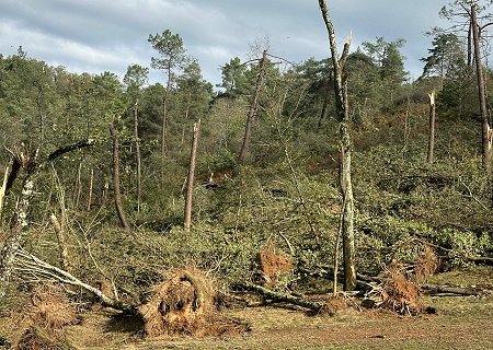 Tornade EF1 à Dampniat (Corrèze) le 27 octobre 2023