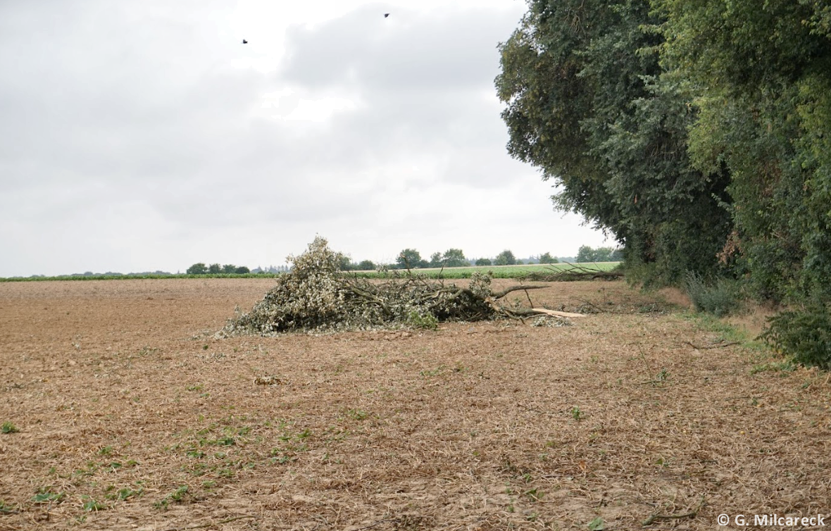 Tornade EF0 à Dury (Somme) le 4 juillet 2023