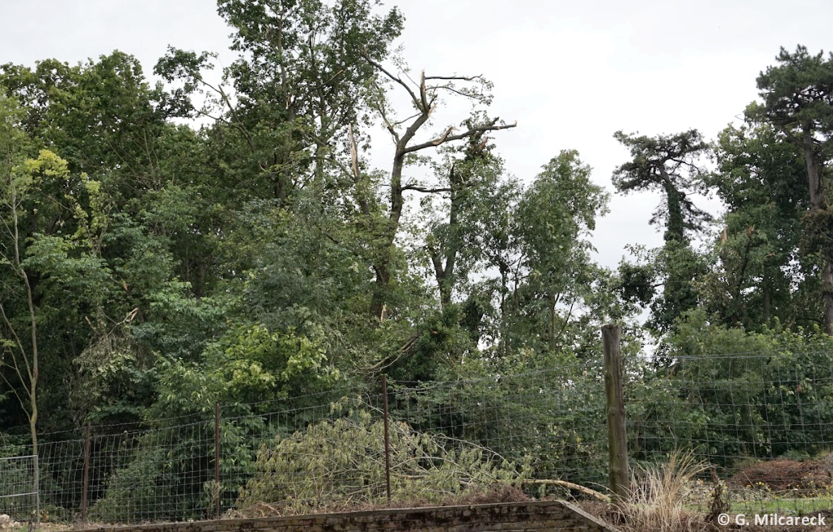 Tornade EF0 à Dury (Somme) le 4 juillet 2023