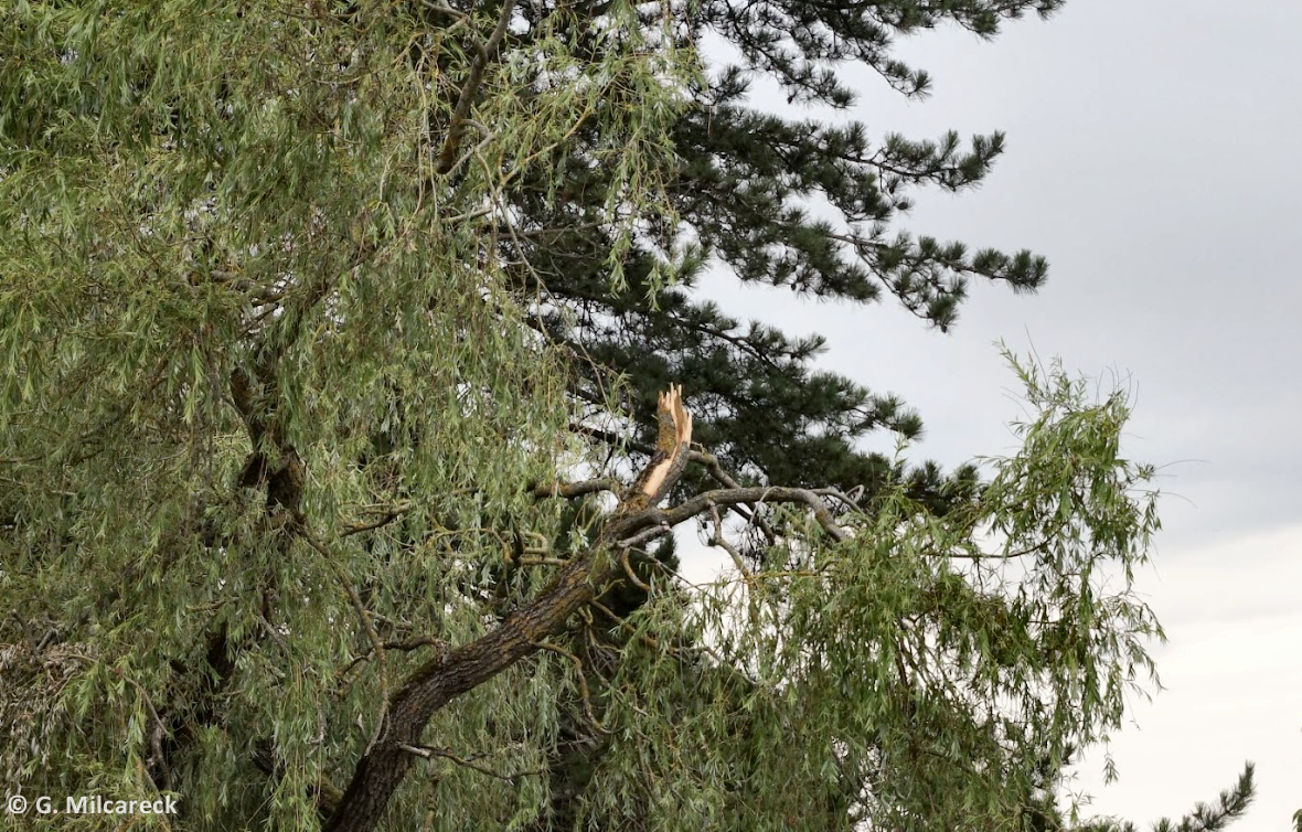 Tornade EF0 à Dury (Somme) le 4 juillet 2023