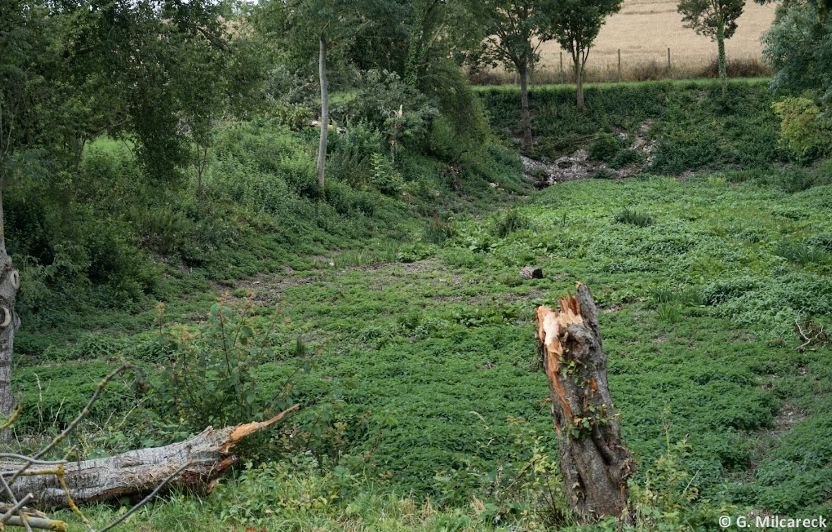 Tornade EF0 à Dury (Somme) le 4 juillet 2023