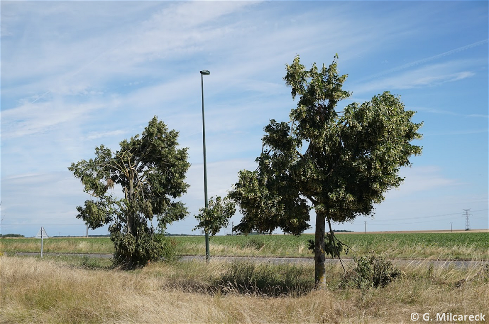 Tornade EF0 à Ercuis (Oise) le 4 juillet 2023