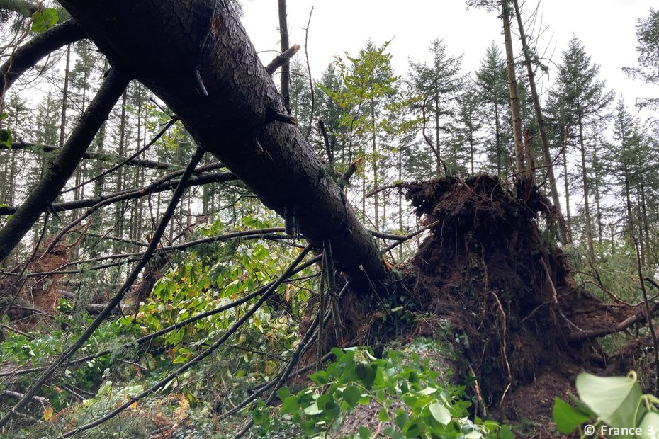 Tornade EF1 à Erdre-en-Anjou (Maine-et-Loire) le 4 novembre 2023