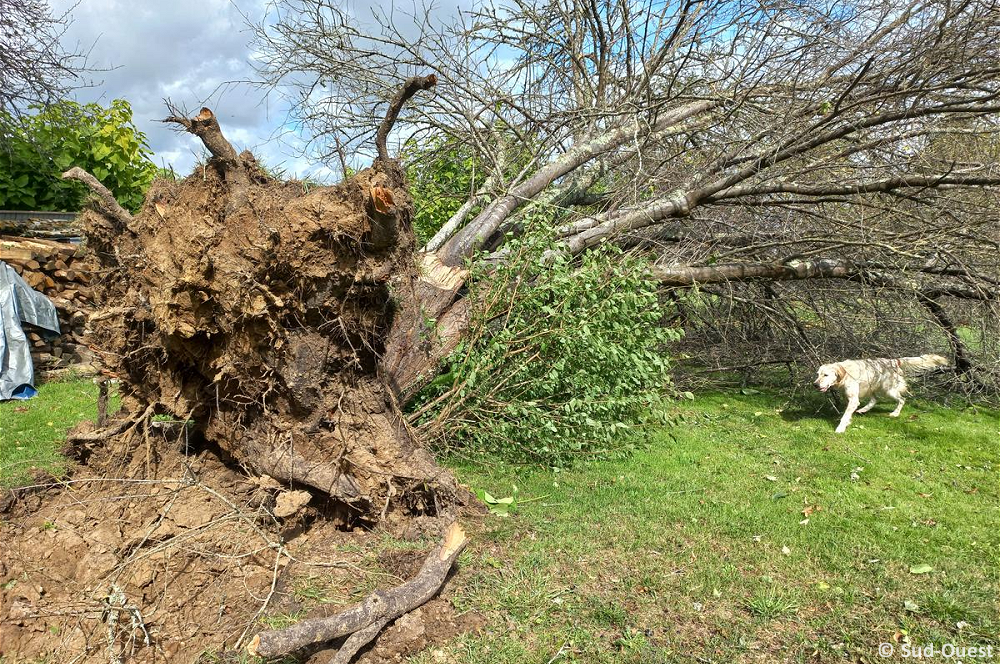 Tornade EF1 à Gans (Gironde) le 22 septembre 2023