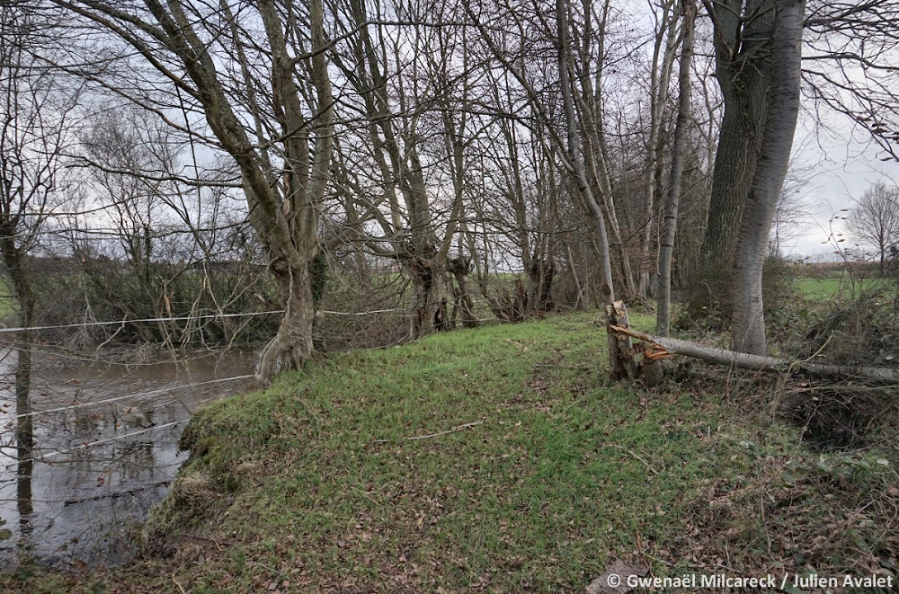 Tornade EF0 à Gournay-en-Bray (Seine-Maritime) le 8 janvier 2023