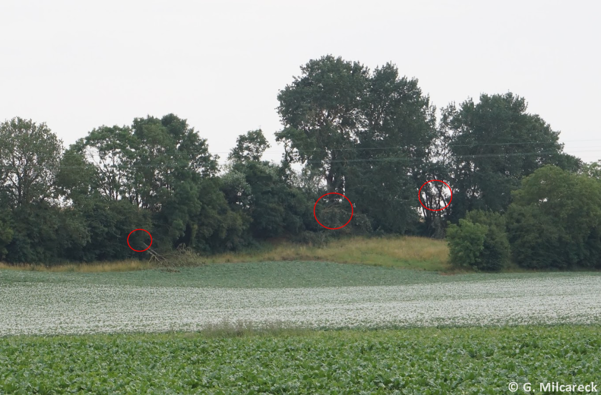 Tornade EF1 à Hervilly (Somme) le 4 juillet 2023