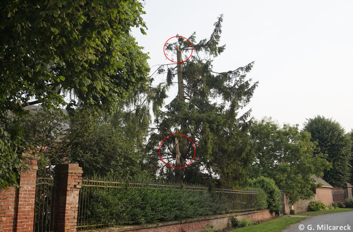 Tornade EF1 à Hervilly (Somme) le 4 juillet 2023