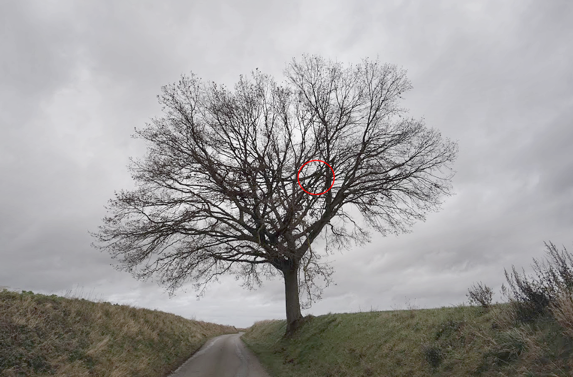 Tornade EF1 à Hervilly (Somme) le 4 juillet 2023