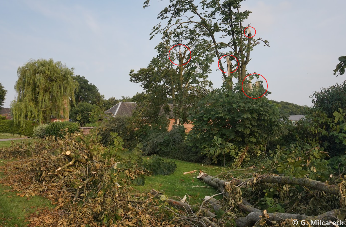 Tornade EF1 à Hervilly (Somme) le 4 juillet 2023