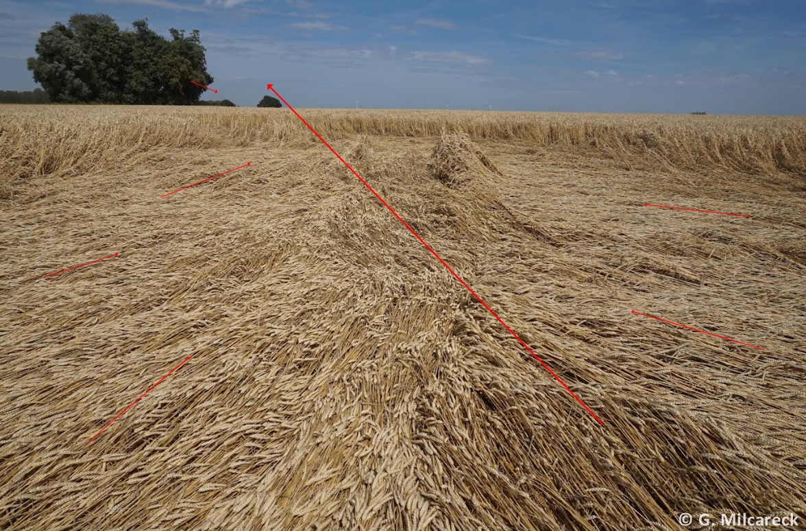 Tornade EF1 à Hervilly (Somme) le 4 juillet 2023