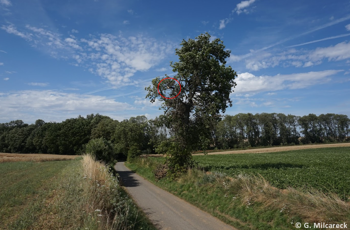 Tornade EF1 à Hervilly (Somme) le 4 juillet 2023