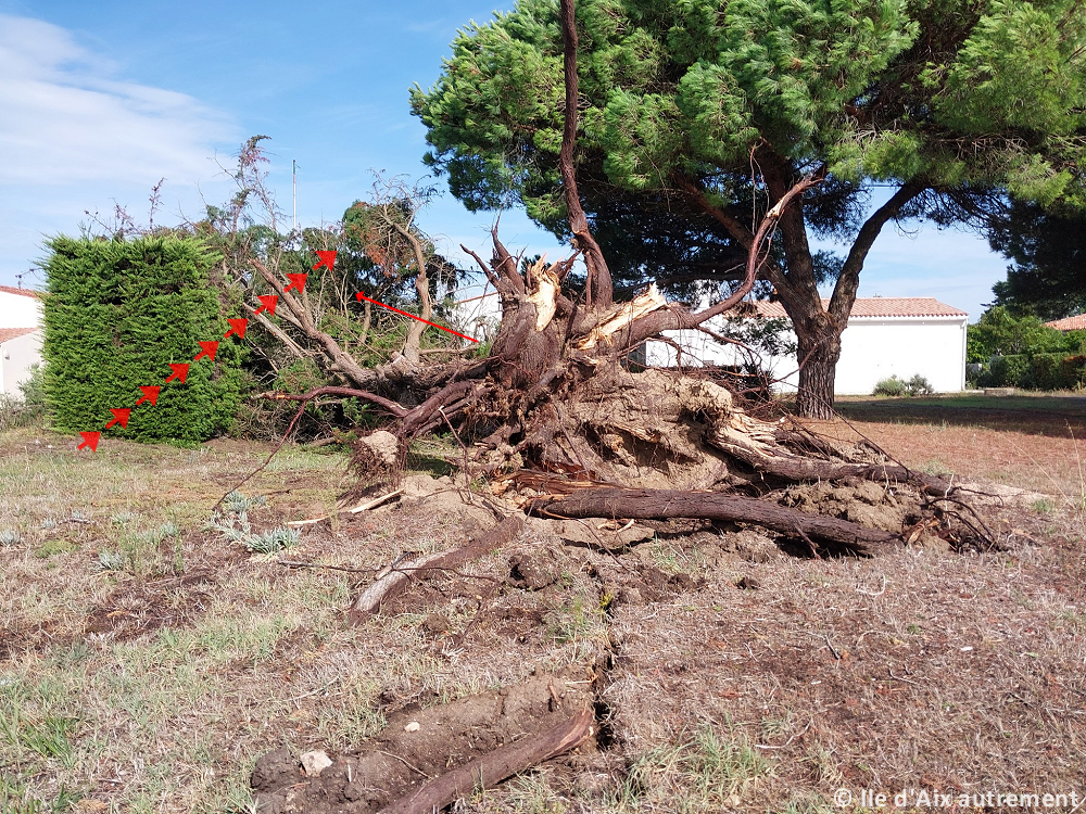 Tornade EF1 à Ile-d'Aix (Charente-Maritime) le 17 septembre 2023