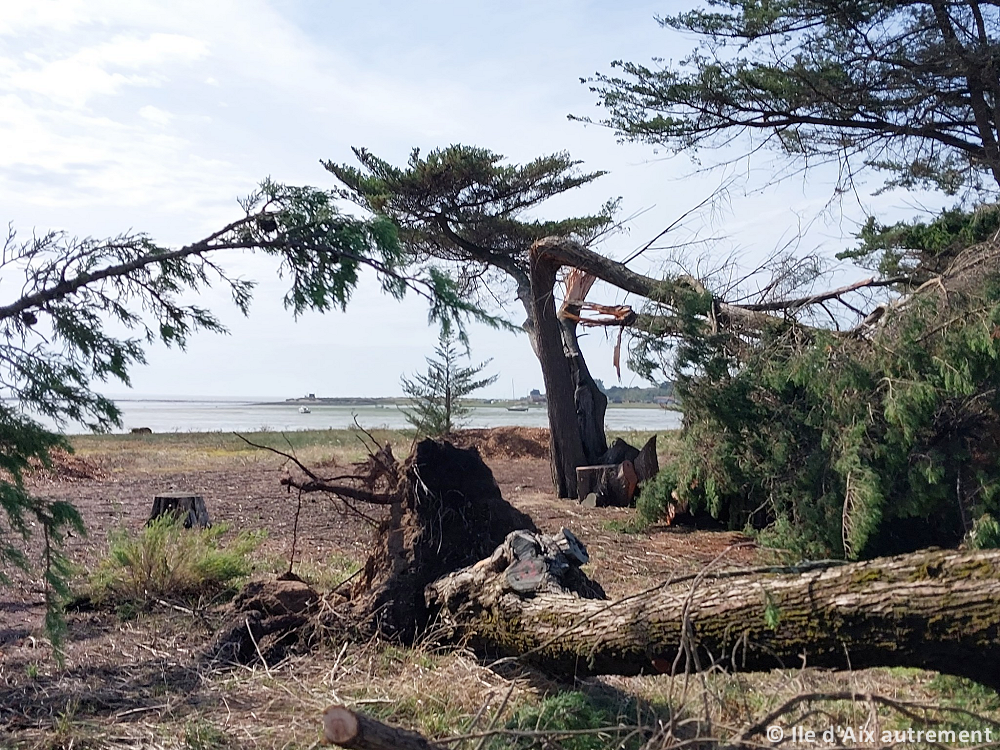 Tornade EF1 à Ile-d'Aix (Charente-Maritime) le 17 septembre 2023