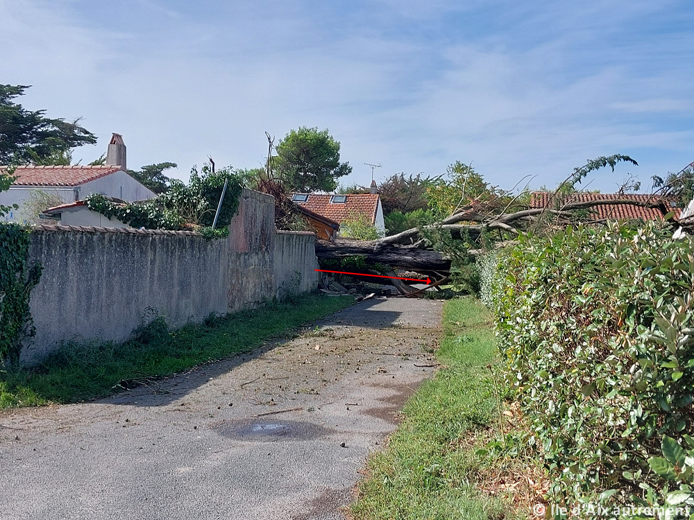 Tornade EF1 à Ile-d'Aix (Charente-Maritime) le 17 septembre 2023