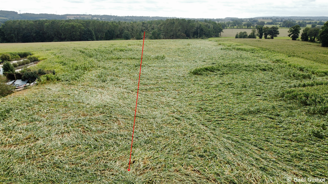 Tornade EF2 à Juvigné (Mayenne) le 17 septembre 2023