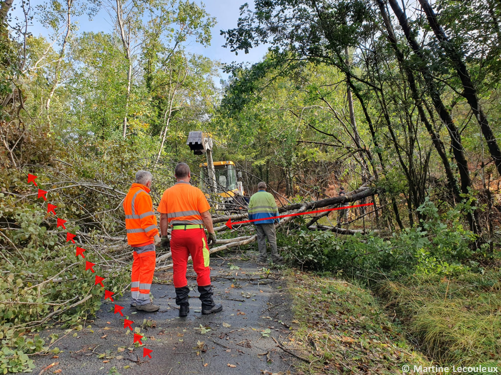 Tornade EF1 aux Eglisottes-et-Chalaures (Gironde) le 1er novembre 2023