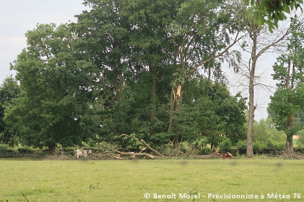 Tornade EF1 à Motteville (Seine-Maritime) le 18 juin 2023