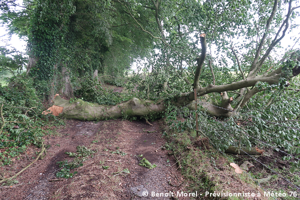 Tornade EF1 à Motteville (Seine-Maritime) le 18 juin 2023