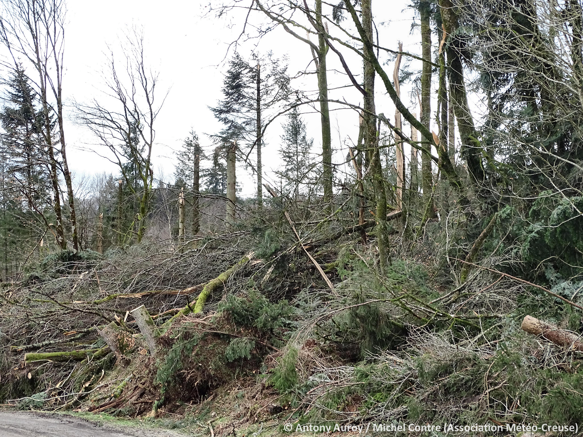 Tornade EF2 à Pontarion (Creuse) le 9 mars 2023