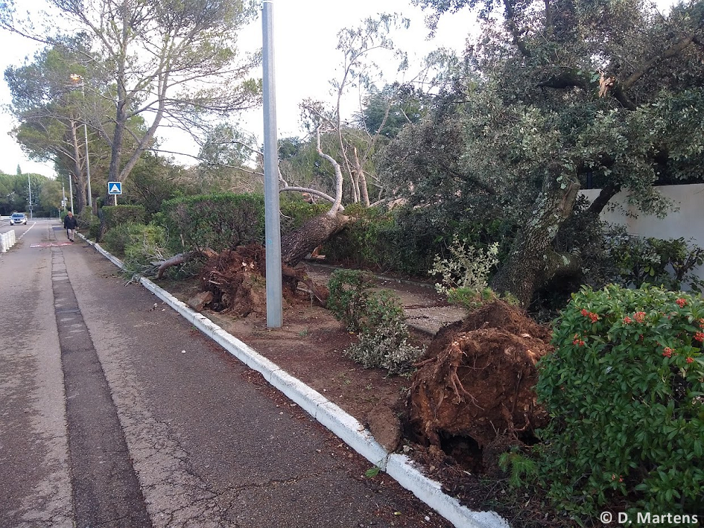 Tornade EF1 à Poulx (Gard) le 30 octobre 2023