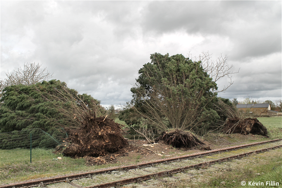 Tornade EF1 à Saint-Jean-de-Sauves (Vienne) le 31 mars 2023