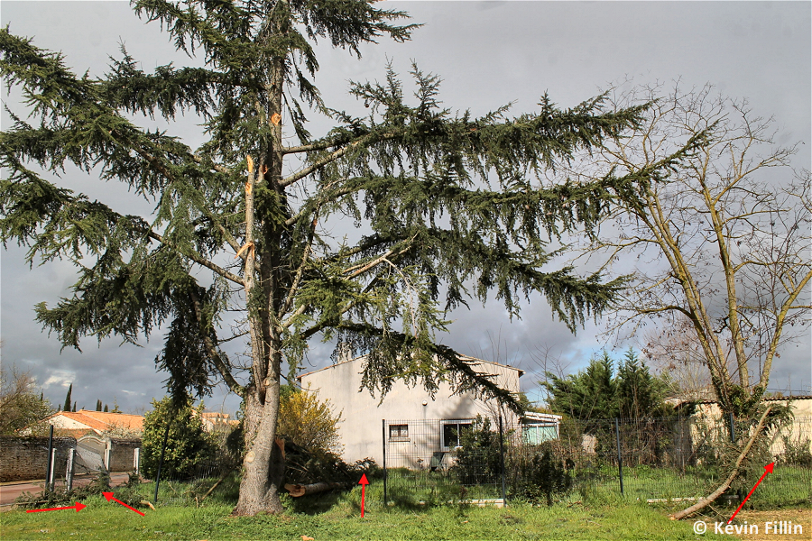 Tornade EF1 à Saint-Jean-de-Sauves (Vienne) le 31 mars 2023