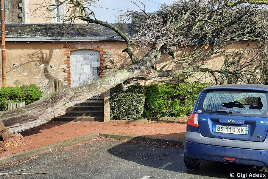 Tornade EF1 à Saint-Jean-de-Sauves (Vienne) le 31 mars 2023