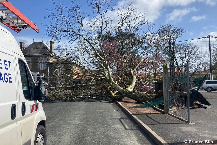 Tornade EF1 à Saint-Jean-de-Sauves (Vienne) le 31 mars 2023