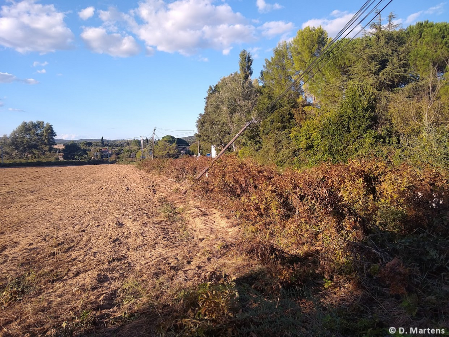 Tornade EF0 à Saint-Siffret (Gard) le 18 septembre 2023