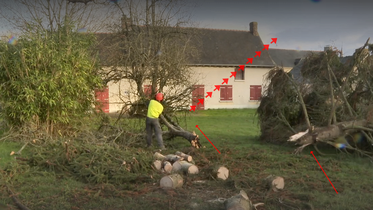 Tornade EF1 à Saint-Sulpice-la-Forêt (Ille-et-Vilaine) le 8 janvier 2023