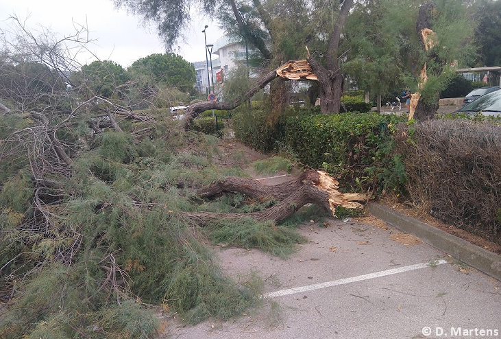 Tornade EF0 à Sète (Hérault) le 15 septembre 2023