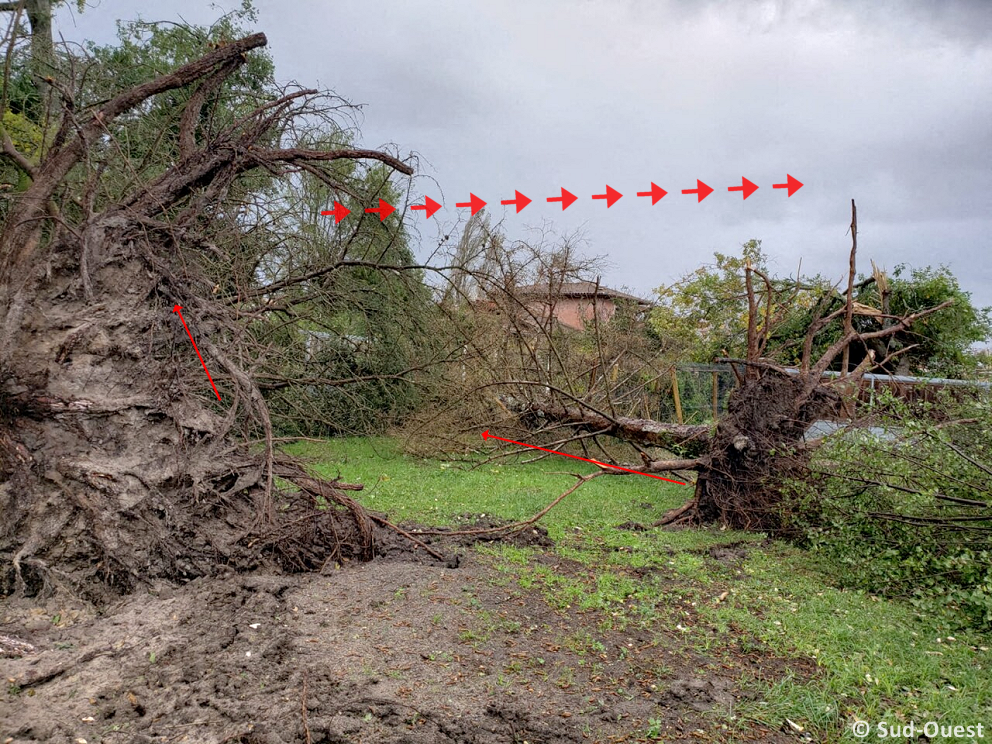 Tornade EF1 à Vendays-Montalivet (Gironde) le 2 novembre 2023