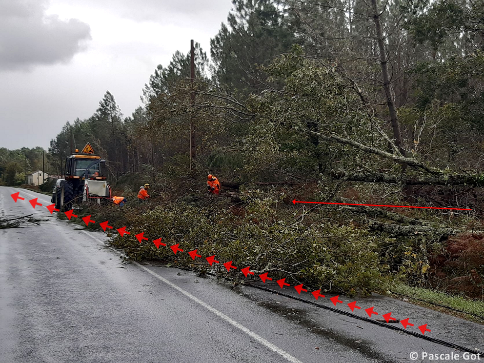 Tornade EF1 à Vendays-Montalivet (Gironde) le 2 novembre 2023