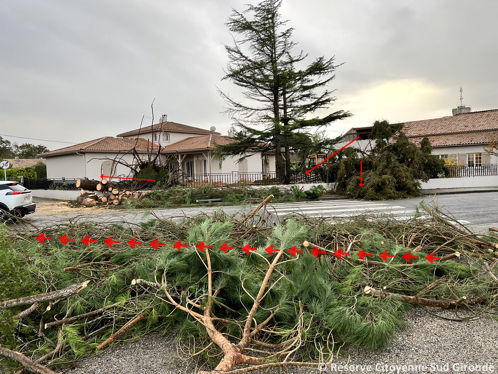 Tornade EF1 à Vendays-Montalivet (Gironde) le 2 novembre 2023