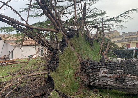 Tornade EF1 à Vendays-Montalivet (Gironde) le 2 novembre 2023