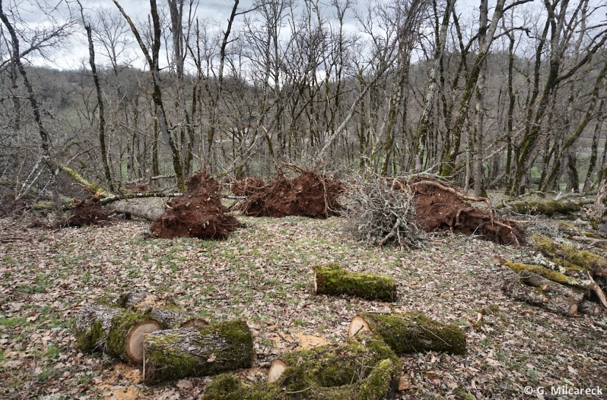 Tornade EF1 à Cahors (Lot) le 5 mars 2024