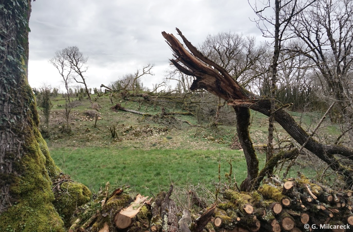 Tornade EF1 à Cahors (Lot) le 5 mars 2024